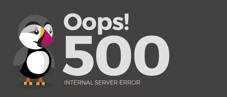 Http 500 Error What Is It And How To Fix It On Your Online Retail